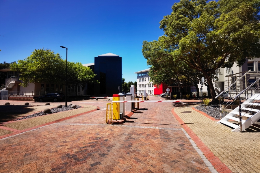 To Let commercial Property for Rent in Rondebosch Western Cape